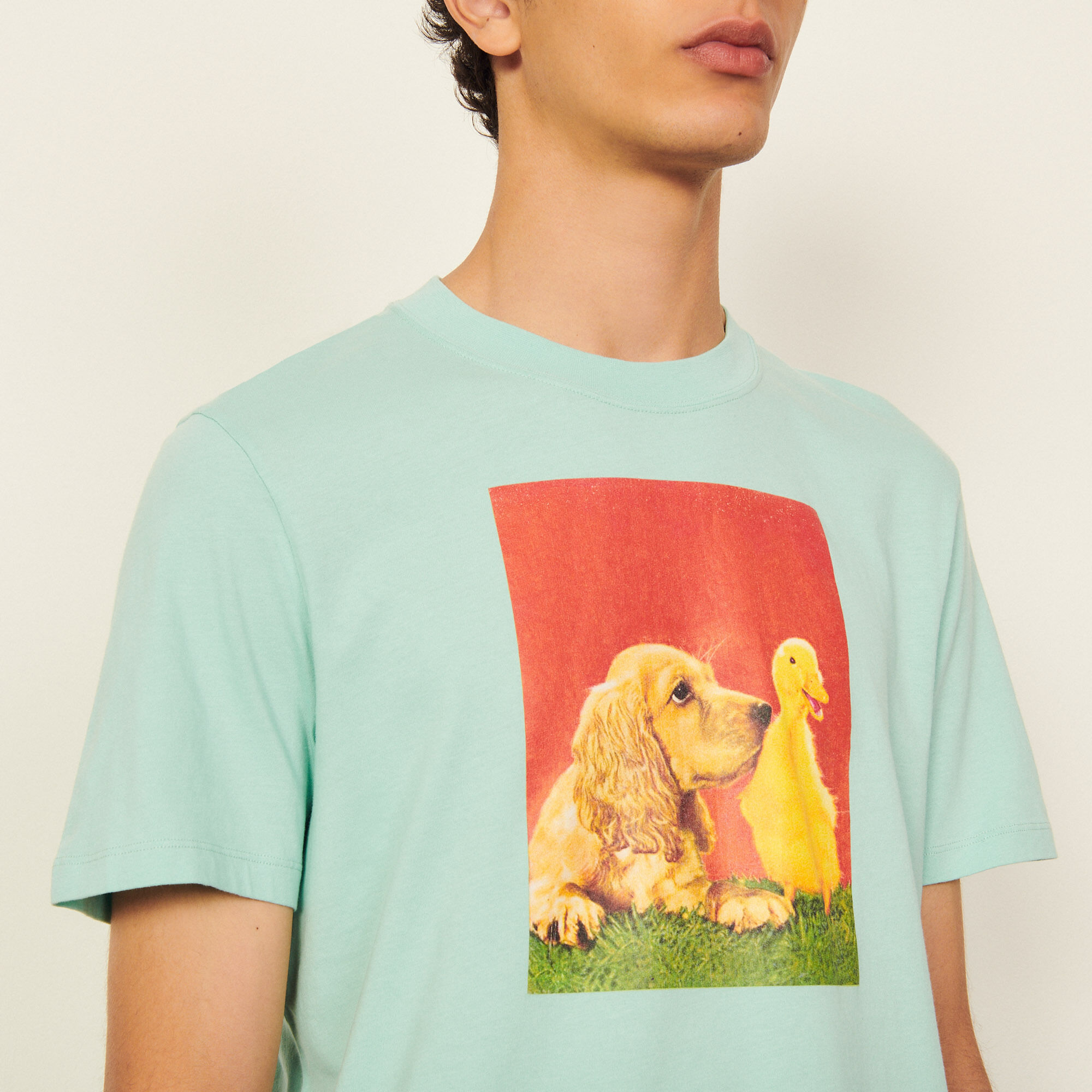 Cotton T-shirt with imagery