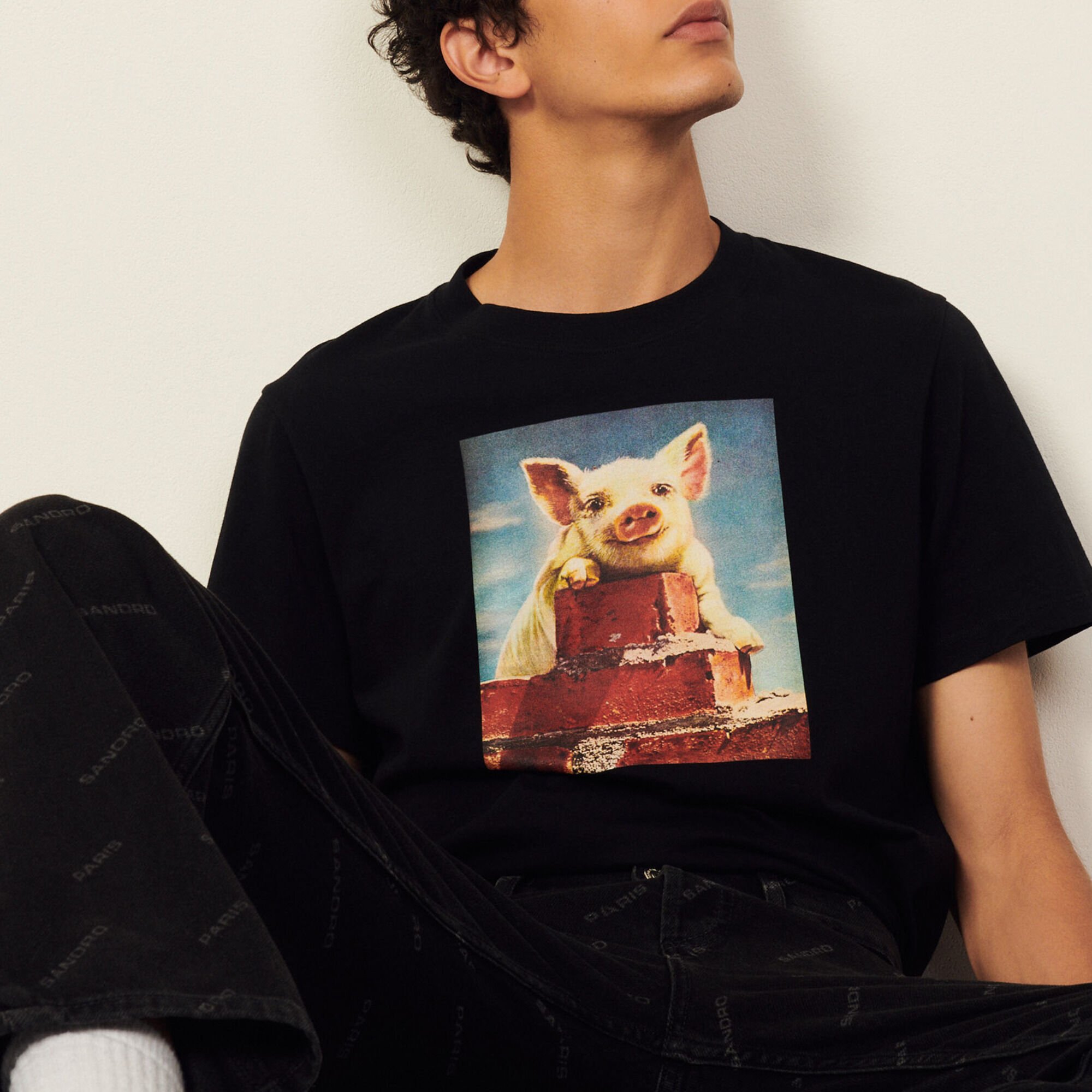 Cotton T-shirt with imagery