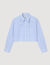 Bow collar shirt