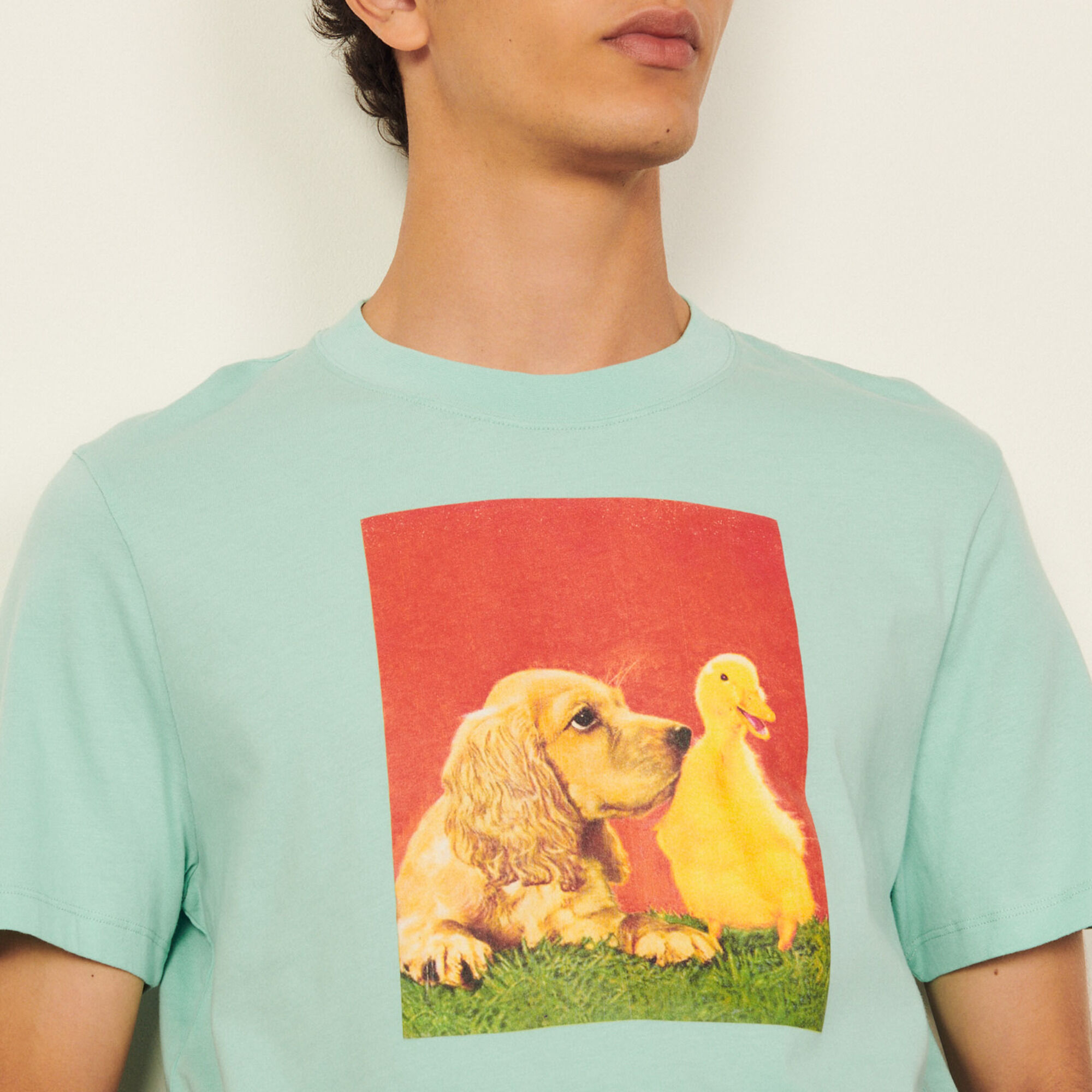 Cotton T-shirt with imagery