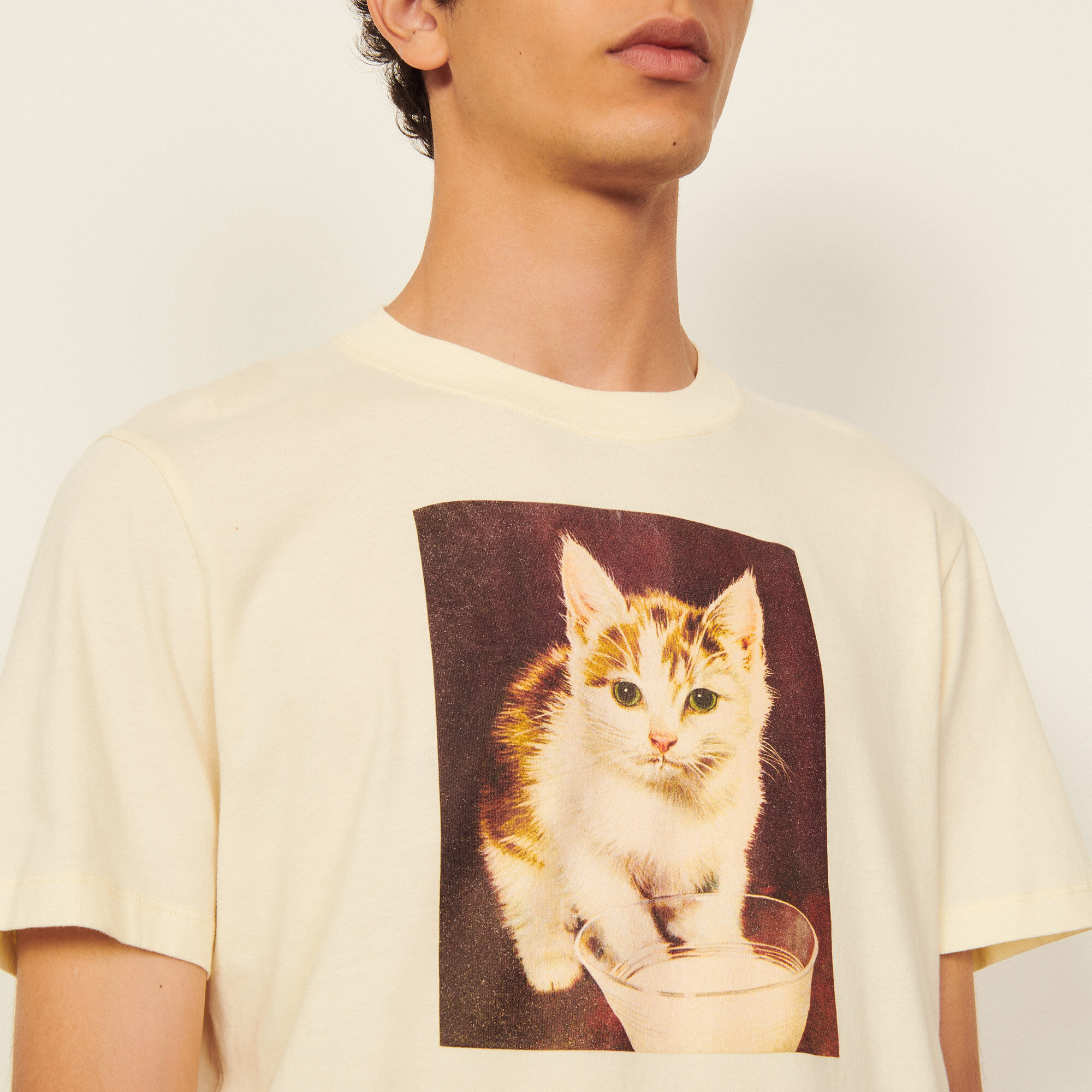 Cotton T-shirt with imagery