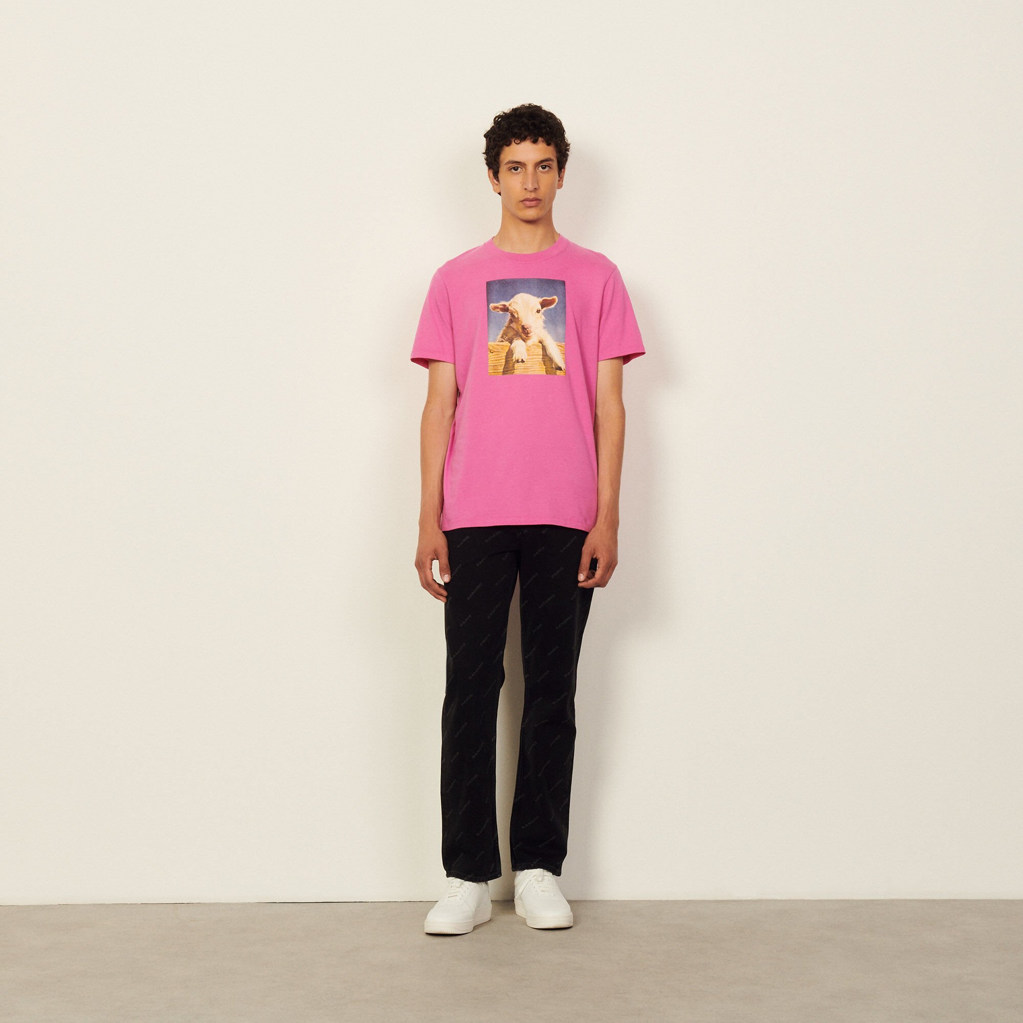 Cotton T-shirt with imagery