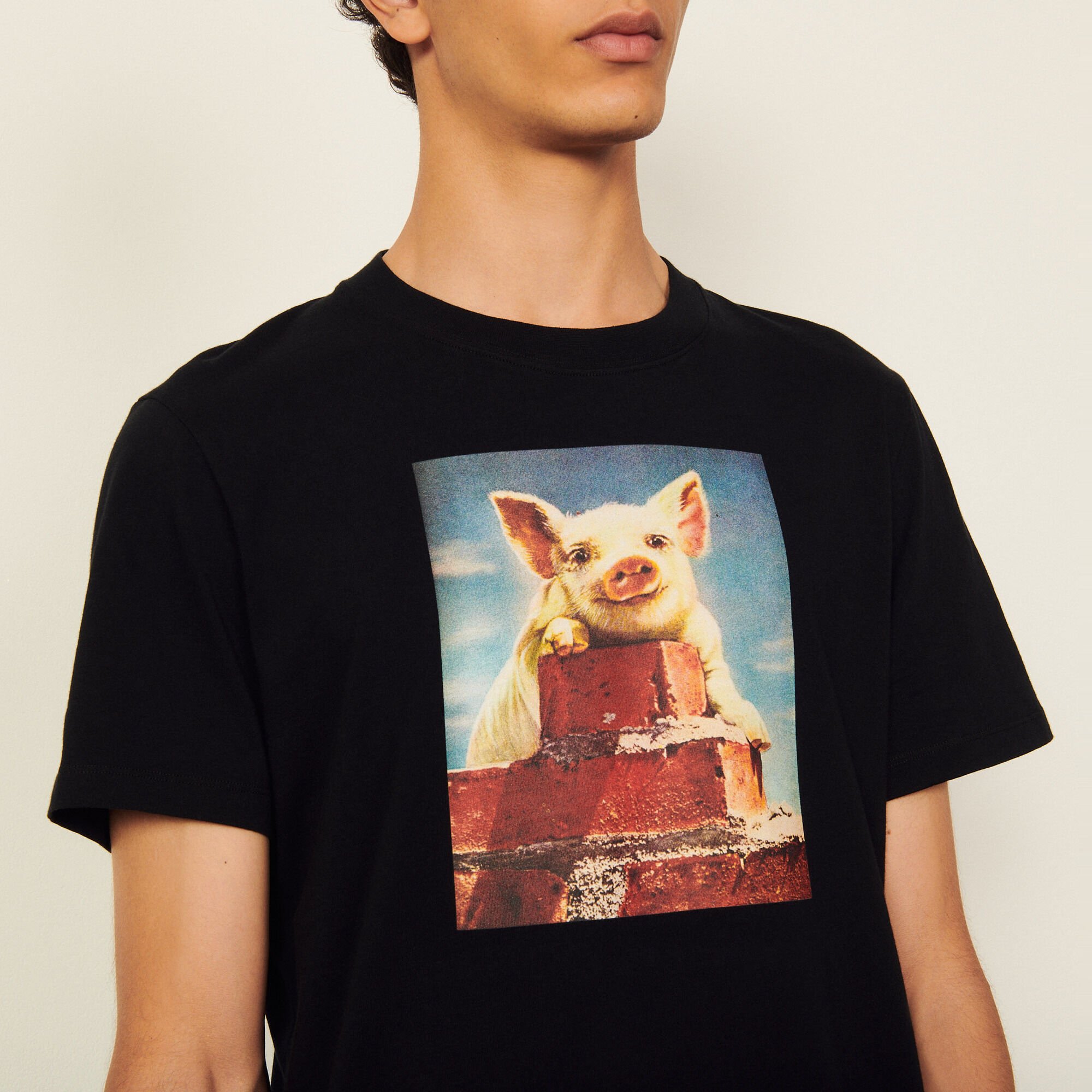 Cotton T-shirt with imagery