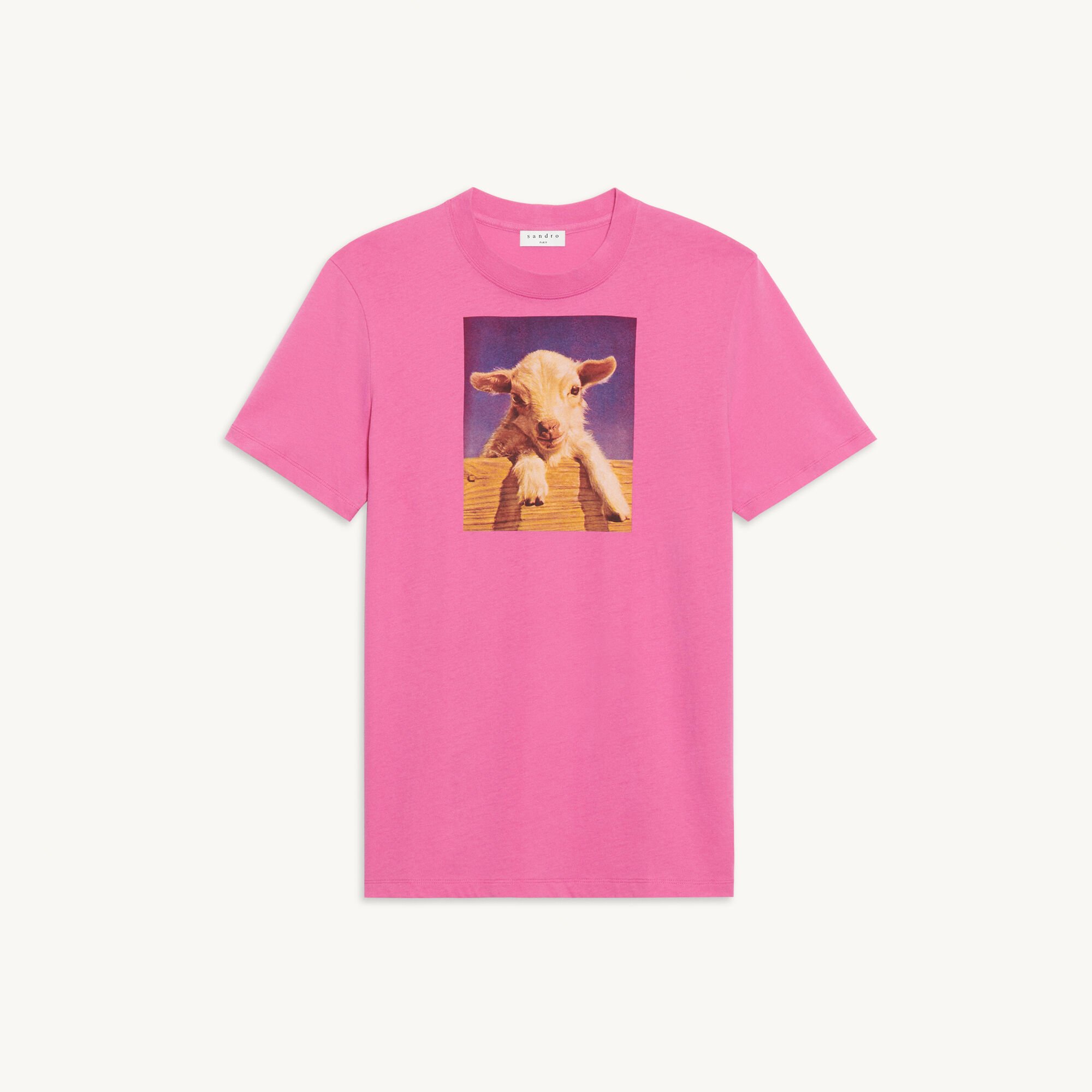 Cotton T-shirt with imagery