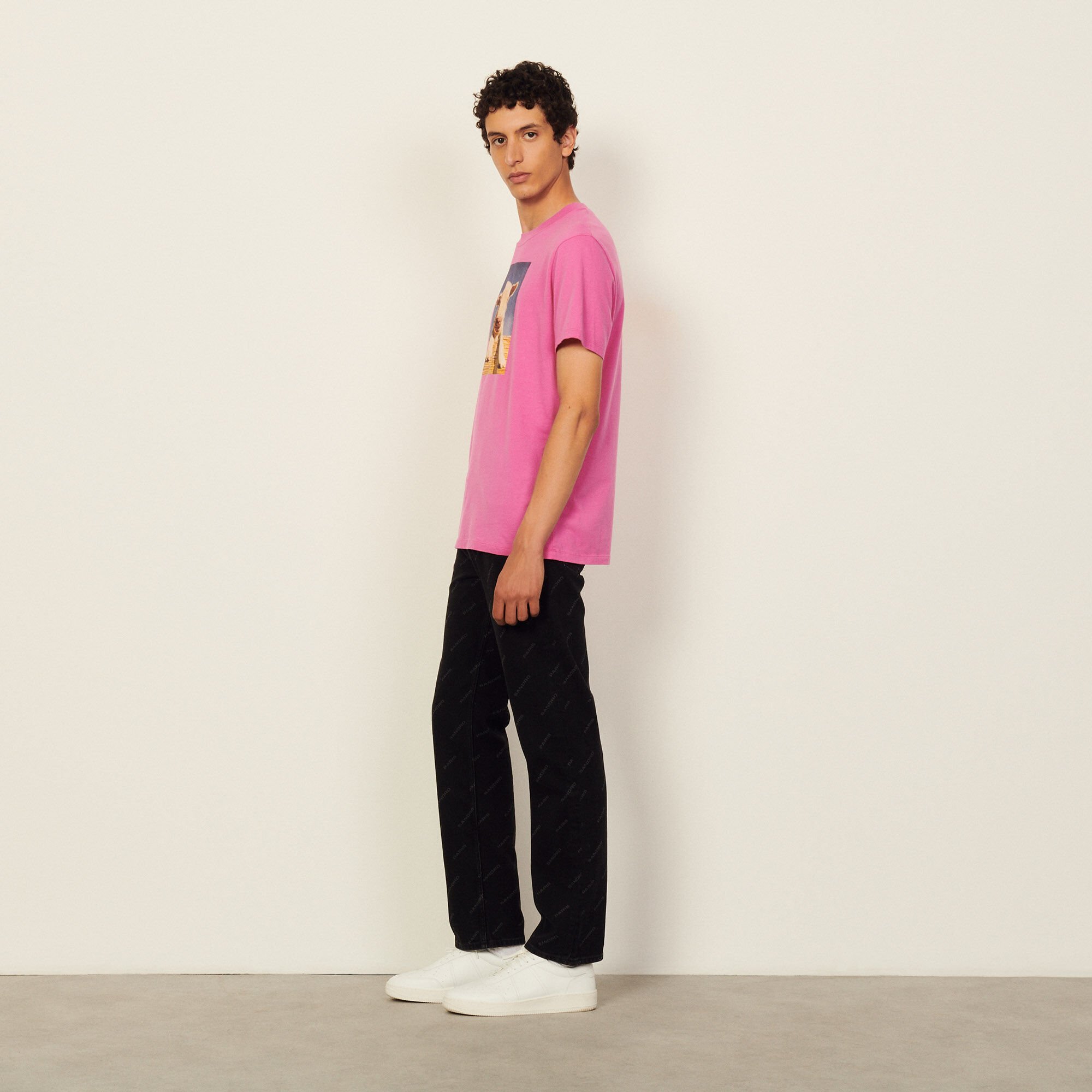Cotton T-shirt with imagery