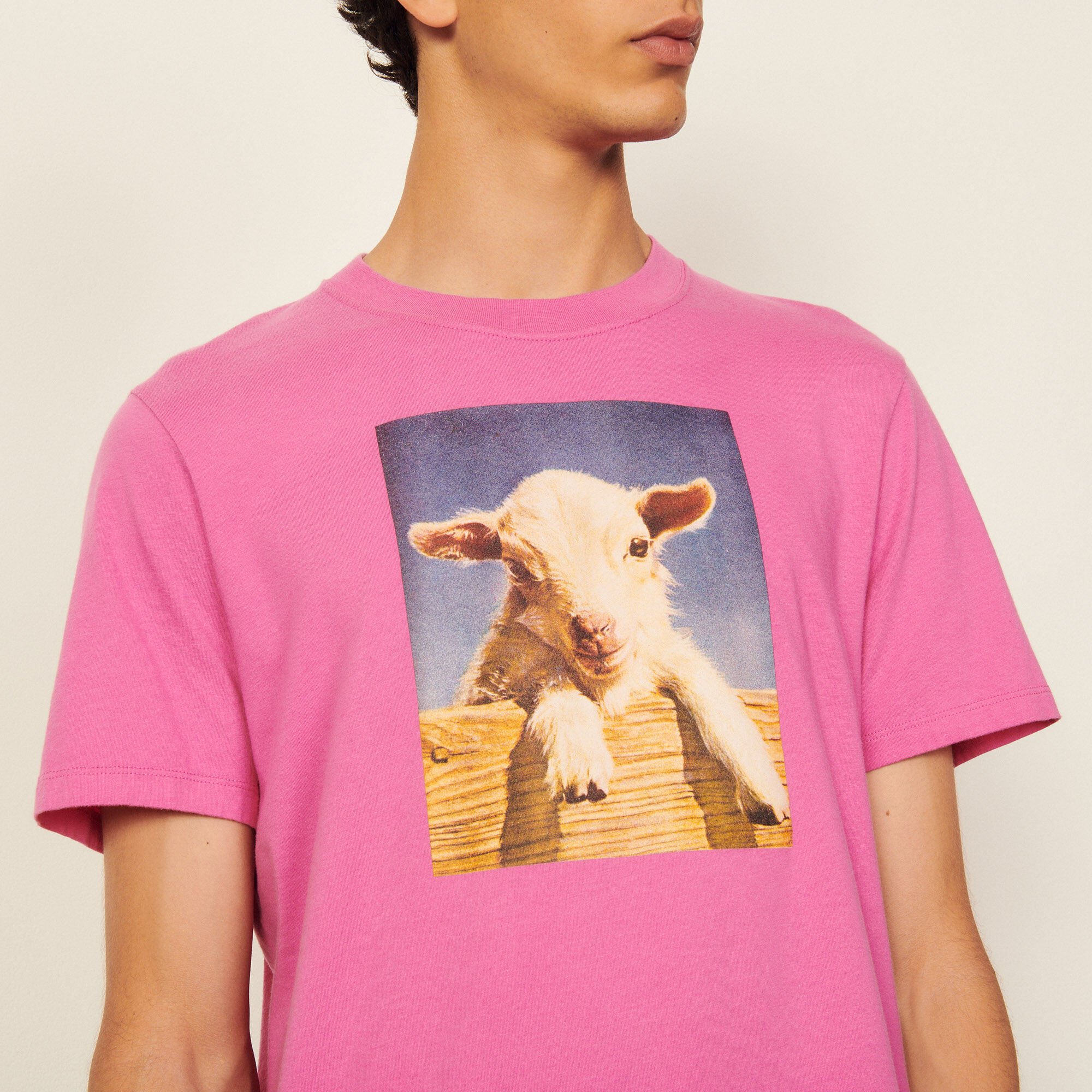Cotton T-shirt with imagery