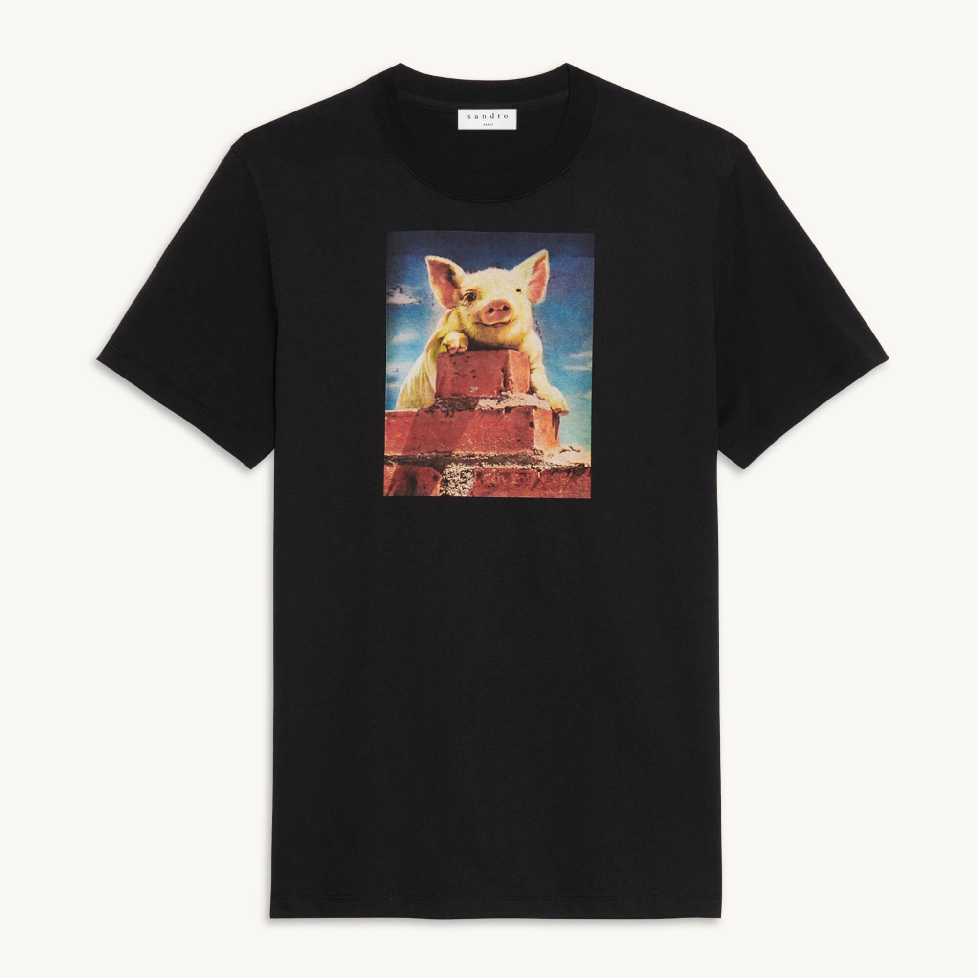 Cotton T-shirt with imagery