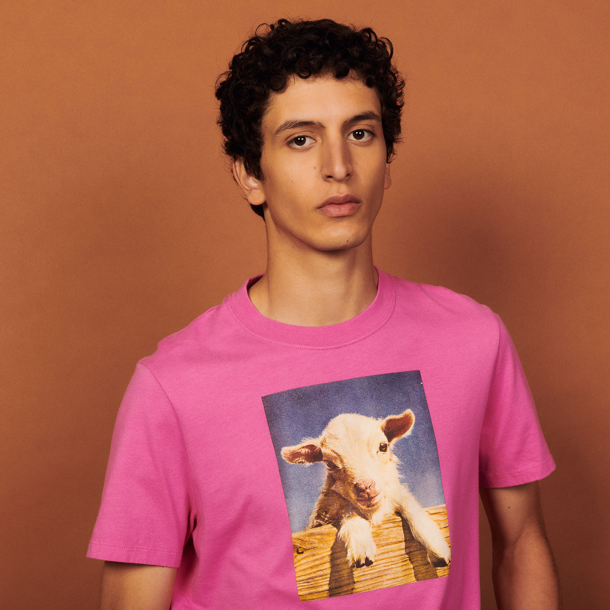 Cotton T-shirt with imagery